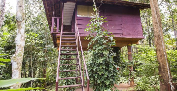 Sunbird Garden Resort Krishnagiri Esterno foto